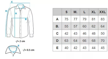 Vyriški mėlynos spalvos marškiniai Arlas