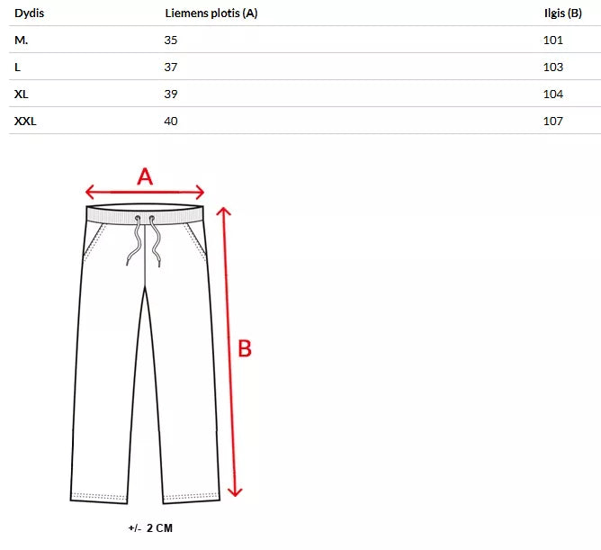 Vyriškos pilkos kelnės Dean