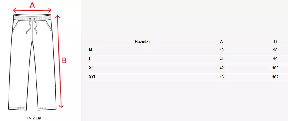 Vyriškos šviesiai pilkos laisvalaikio kelnės Denil