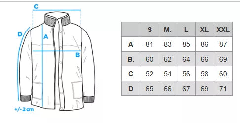 Vyriška žieminė pilka striukė Alf