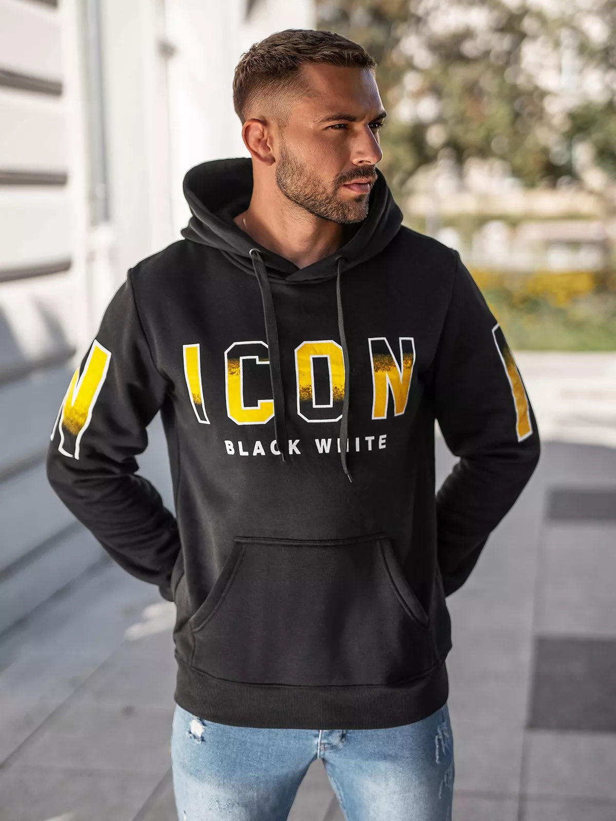 Vyriškas pilkos spalvos džemperis Icon2