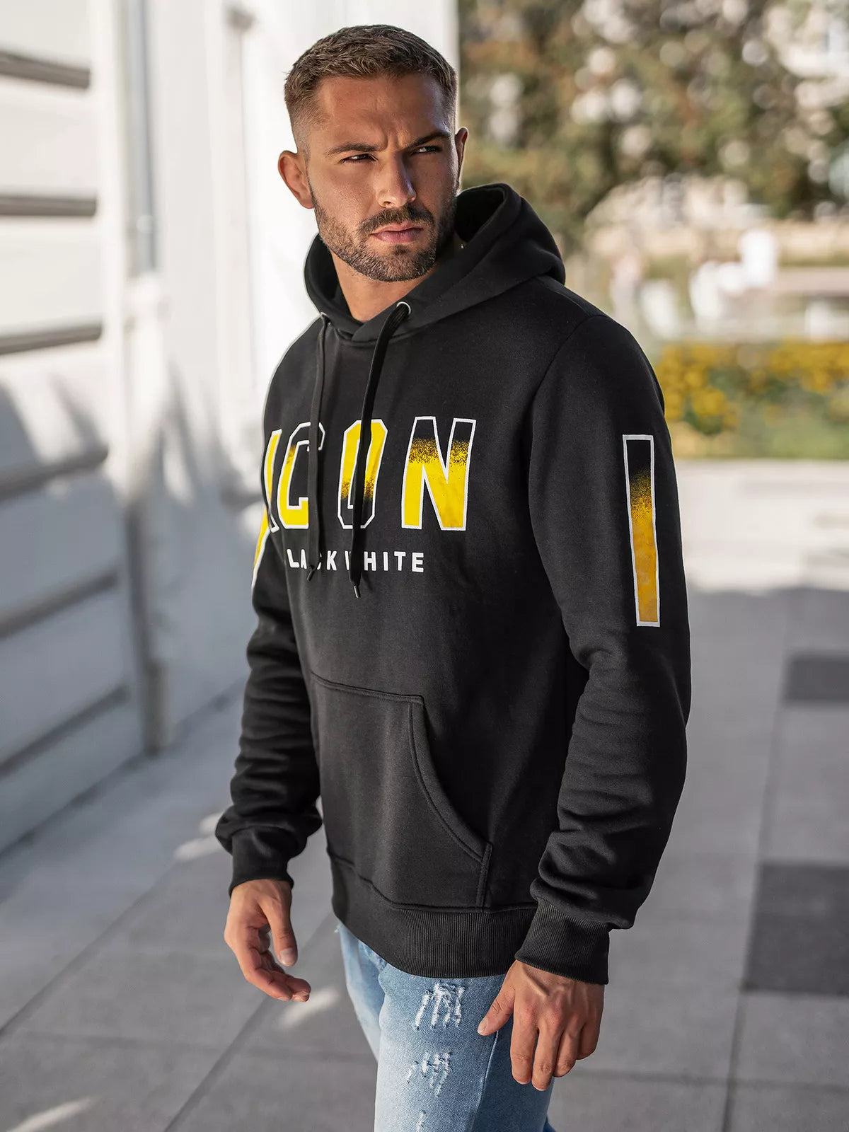 Vyriškas pilkos spalvos džemperis Icon2