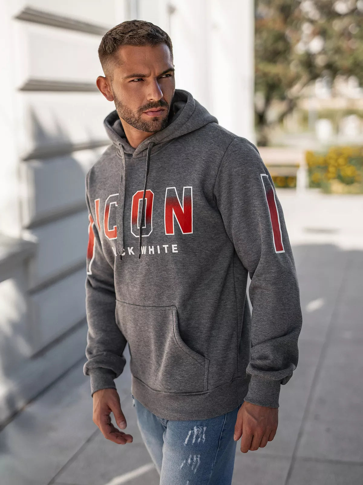 Vyriškas pilkos spalvos džemperis Icon2