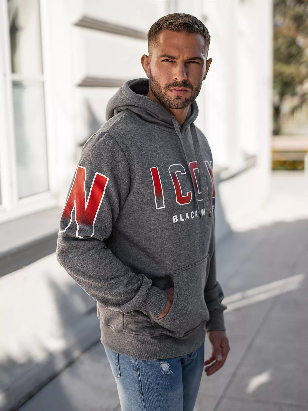 Vyriškas pilkos spalvos džemperis Icon2