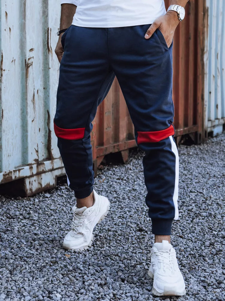 Vyriškos tamsiai mėlynos laisvalaikio kelnės Edma