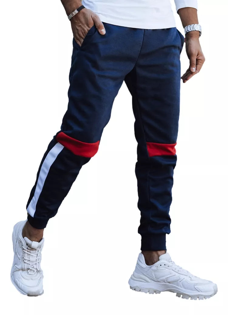 Vyriškos tamsiai mėlynos laisvalaikio kelnės Edma