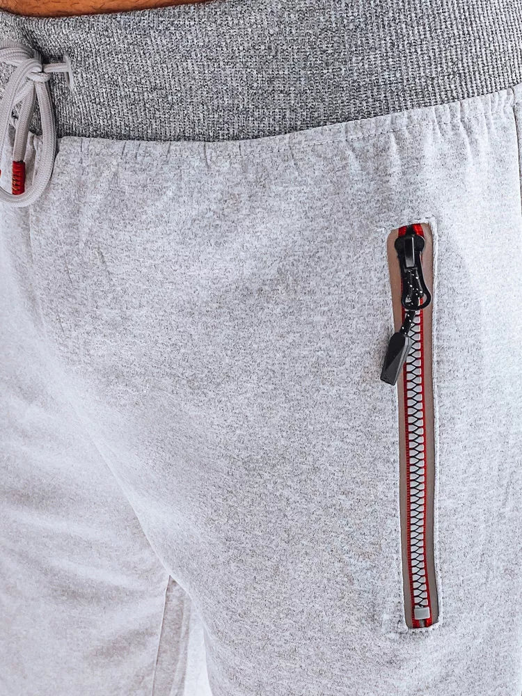 Šortai pilkos spalvos Tavor