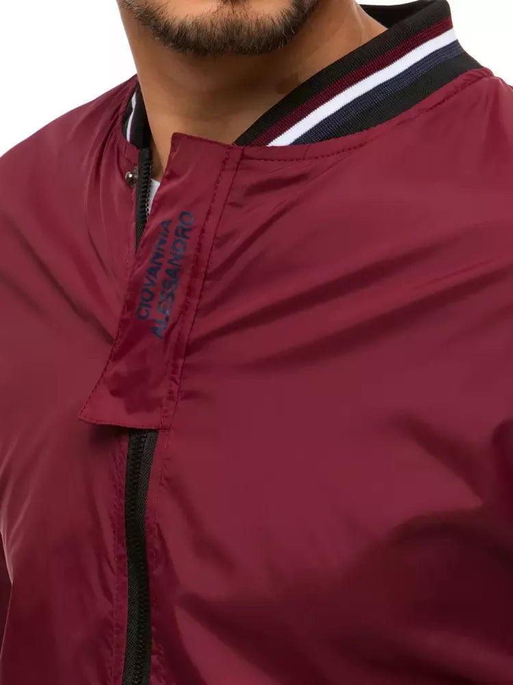 Vyriška bordo spalvos striukė Harry