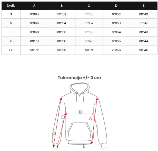 Vyriškas mėlynas džemperis su gobtuvu Back