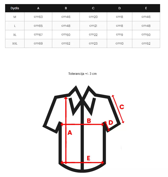 Vyriški dryžuoti polo marškinėliai Rafael