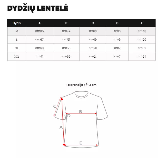 Vyriški marškinėliai su spauda Fast