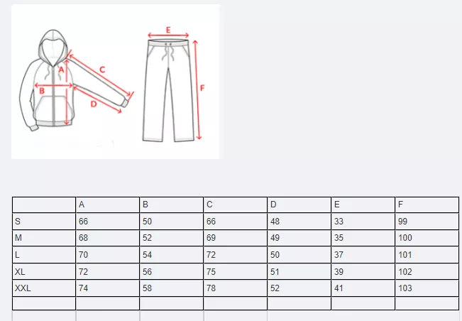 Vyriškas sportinis komplektas pilkas Letar